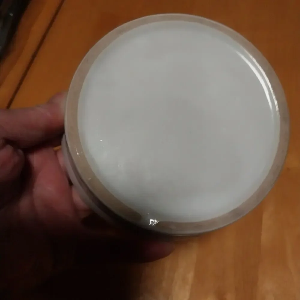 Whisker City Design Dish